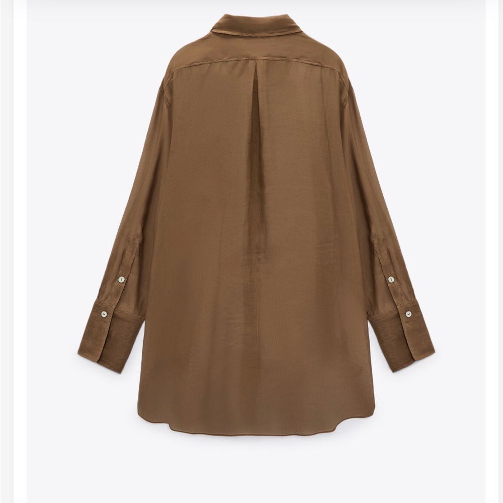 ZARA semi sheer shirt - Picture 14 of 14